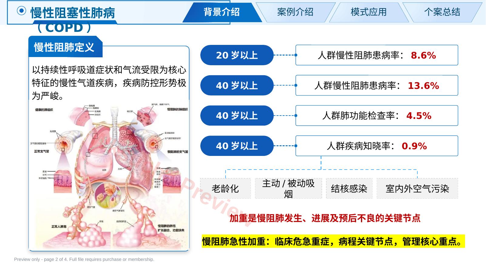 预览第 2 页