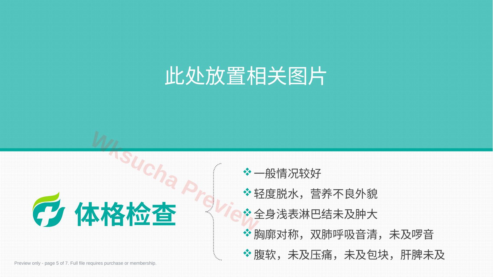 预览第 5 页