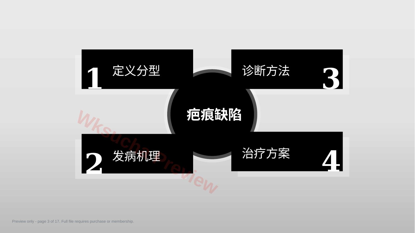 预览第 3 页