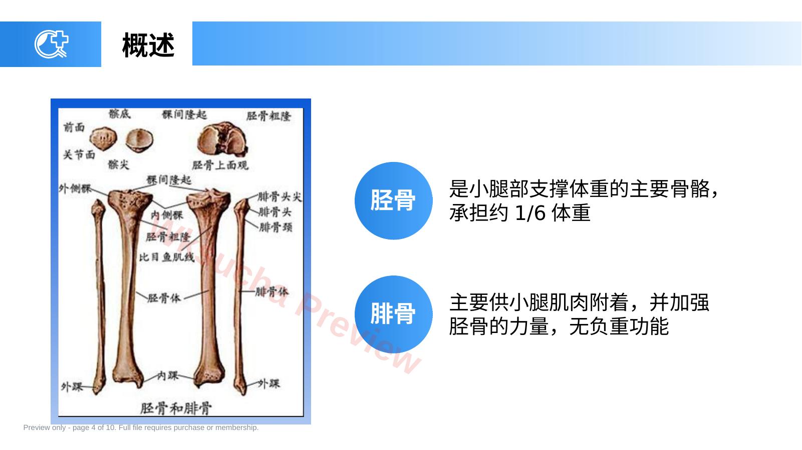 预览第 4 页