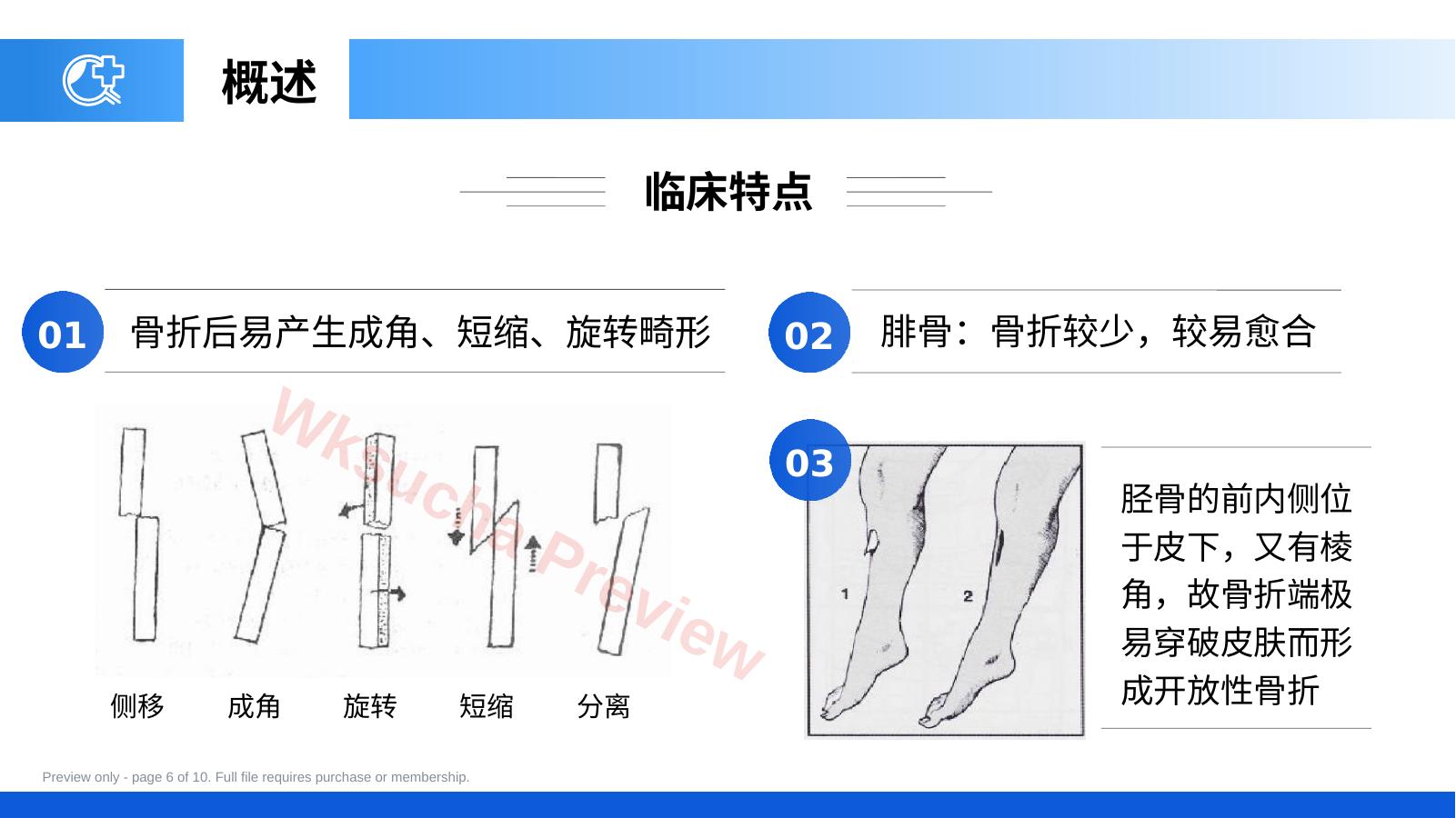 预览第 6 页