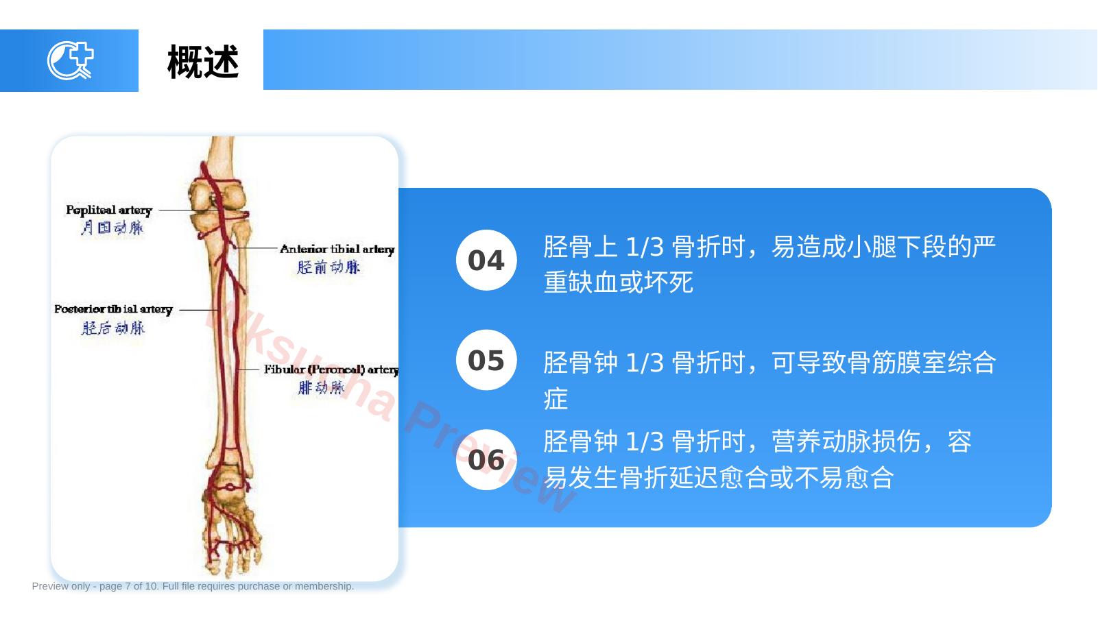 预览第 7 页
