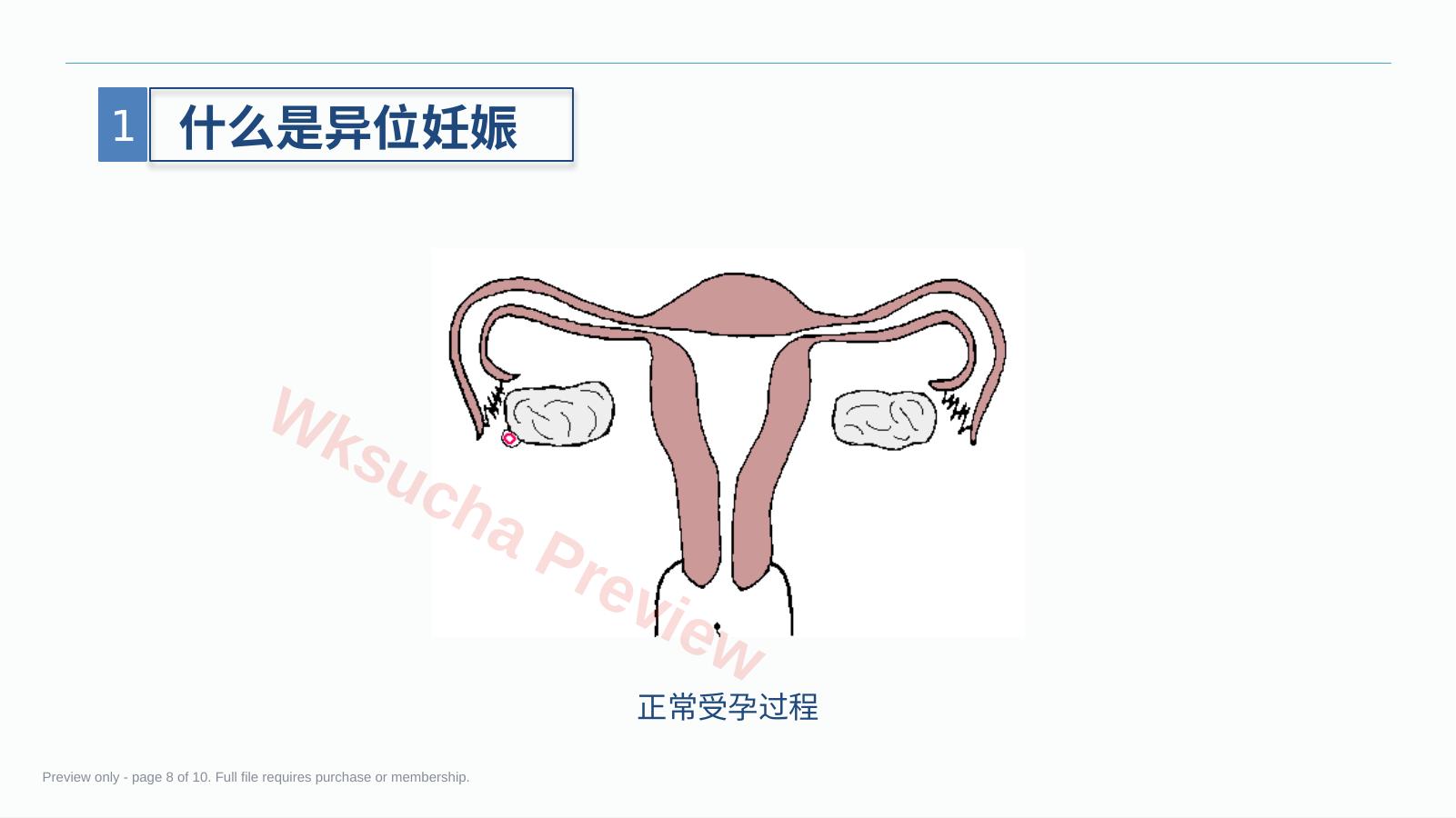 预览第 8 页