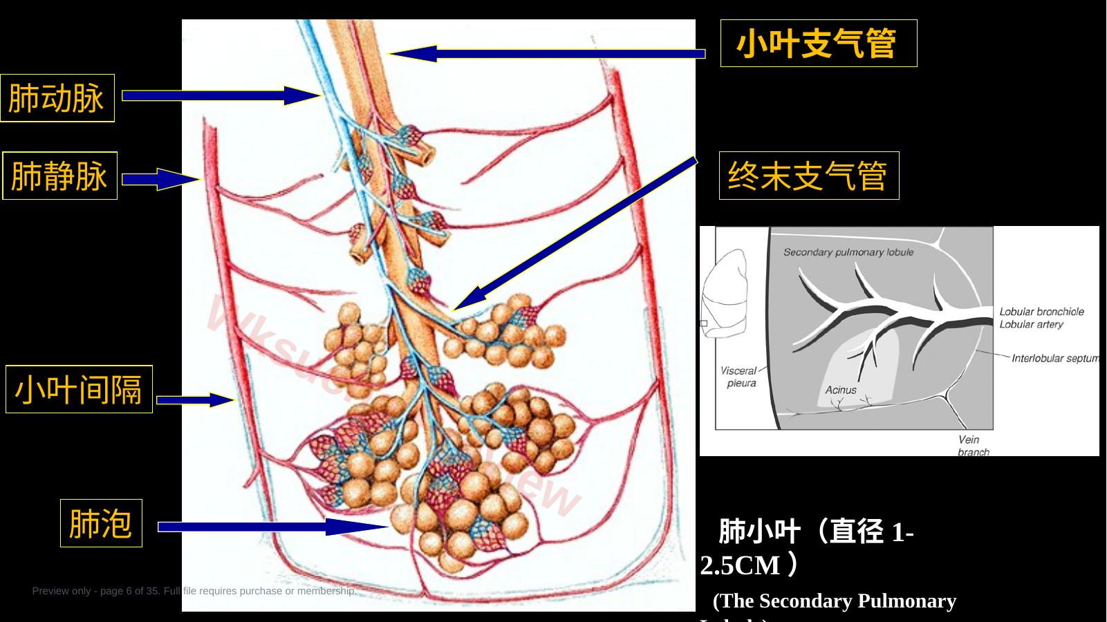 预览第 6 页