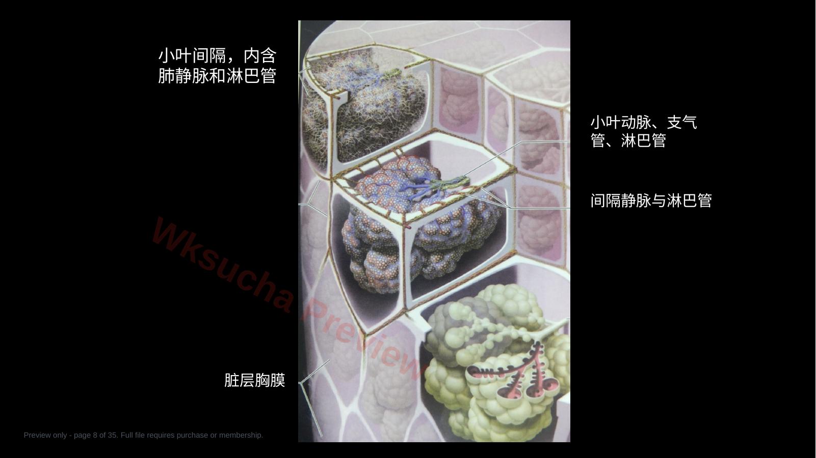 预览第 8 页