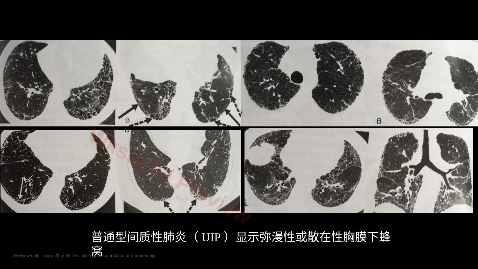 预览第 28 页