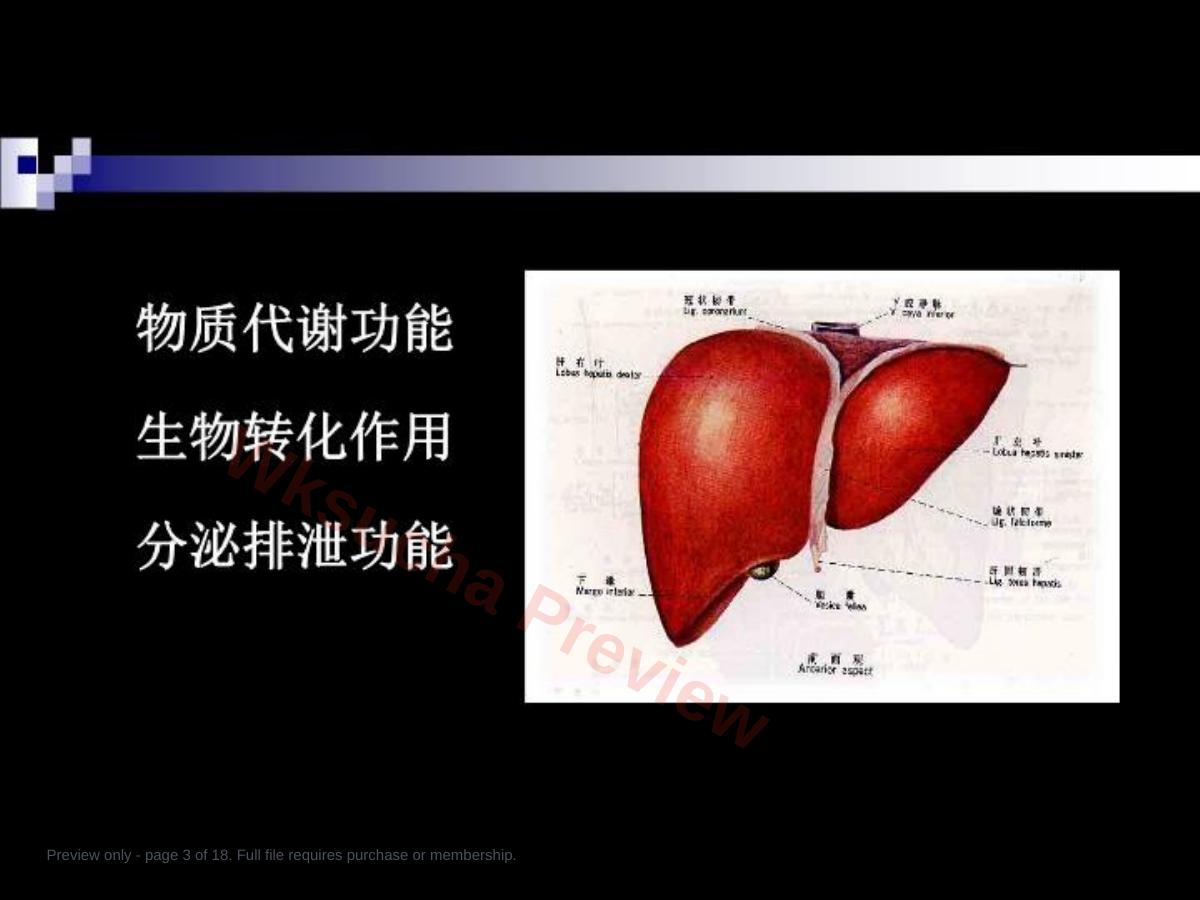 预览第 3 页