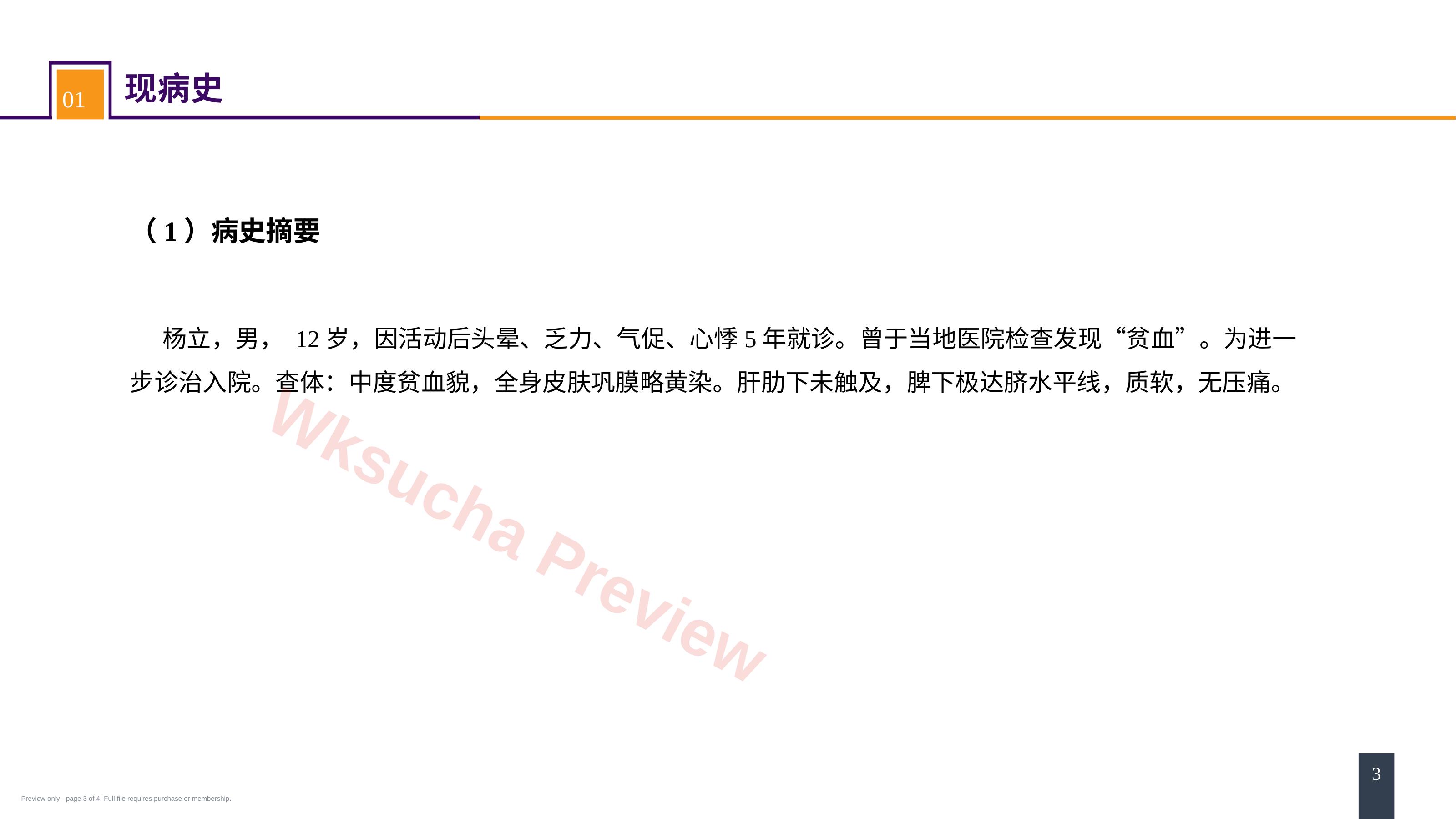 预览第 3 页