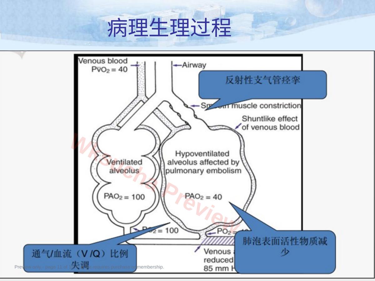 预览第 11 页
