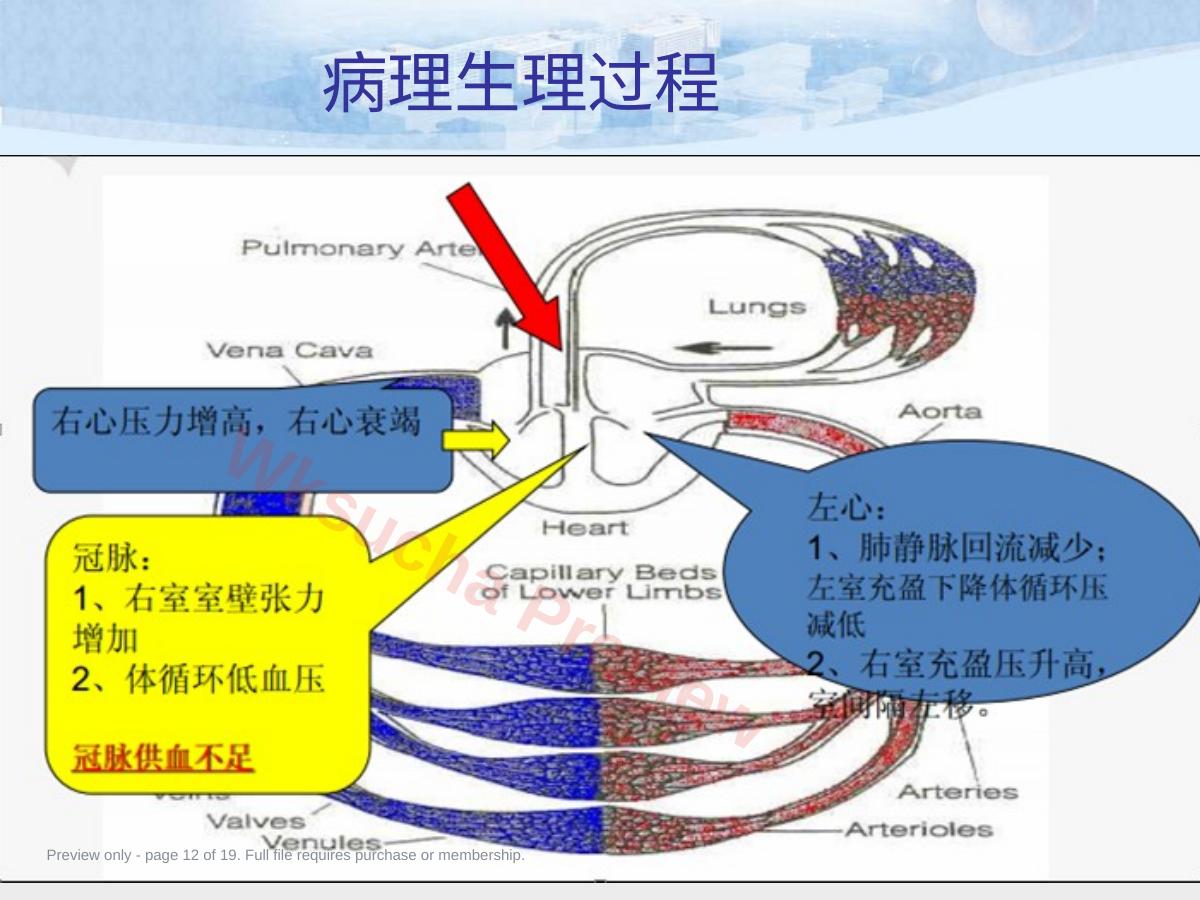 预览第 12 页