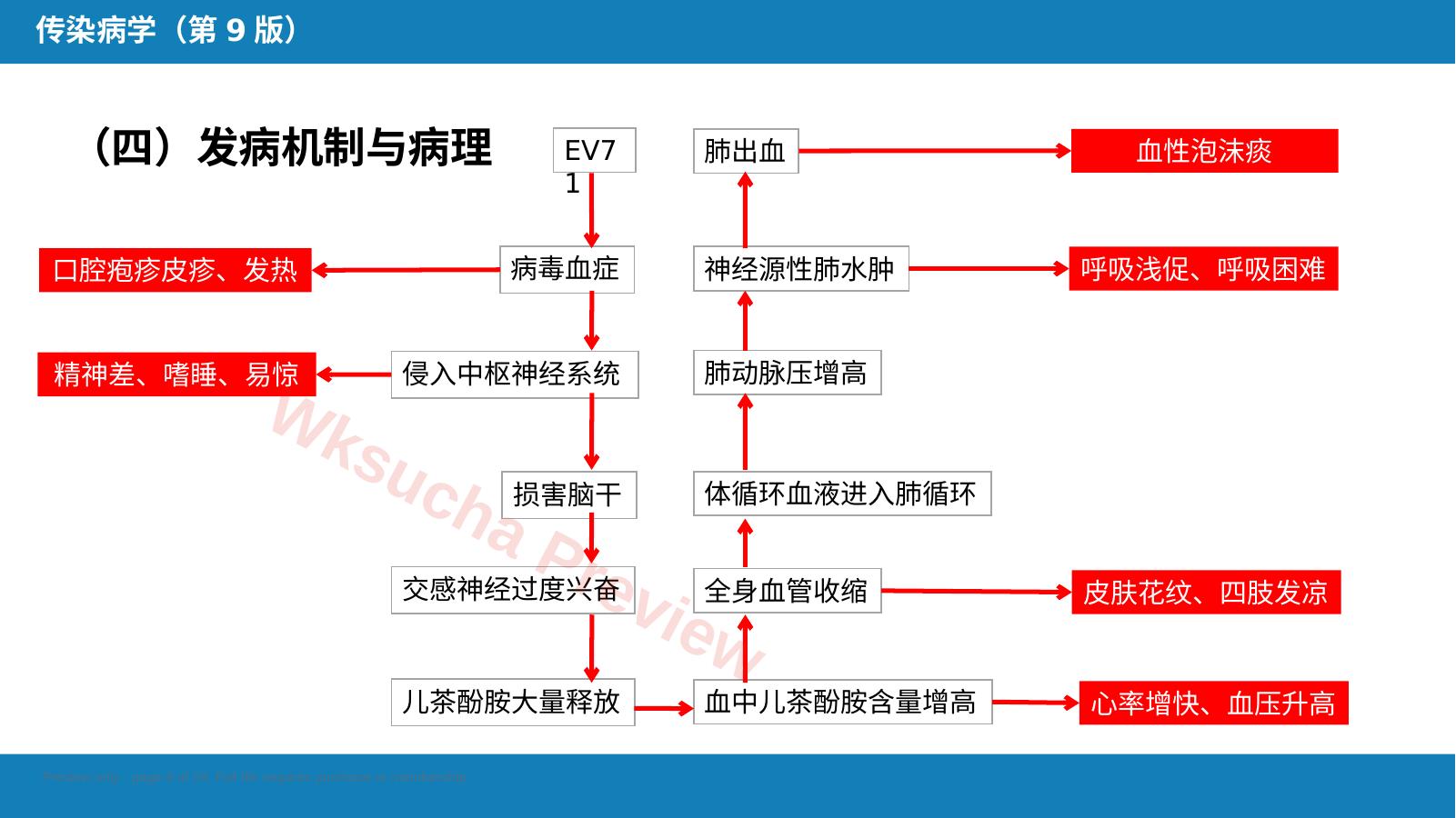 预览第 8 页