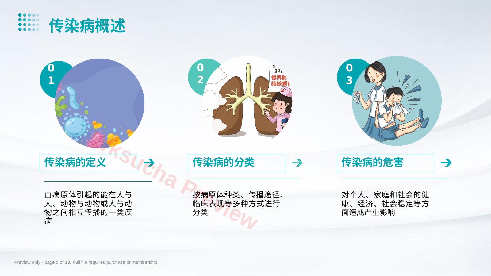预览第 5 页