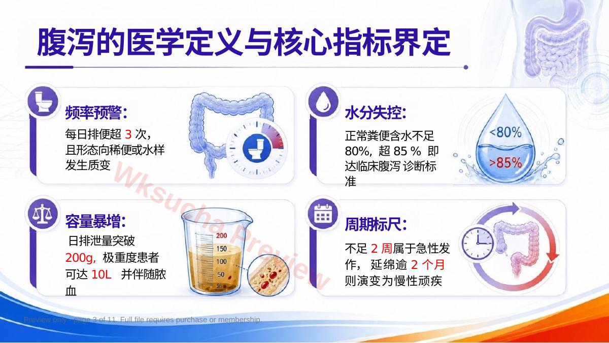 预览第 3 页