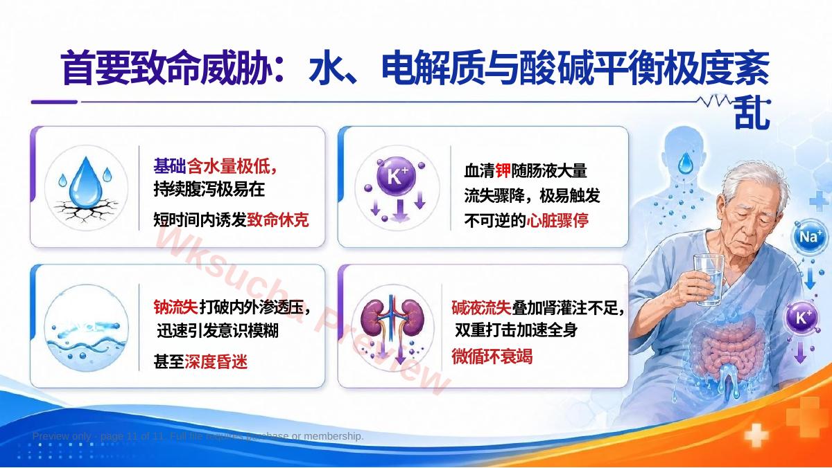 预览第 11 页