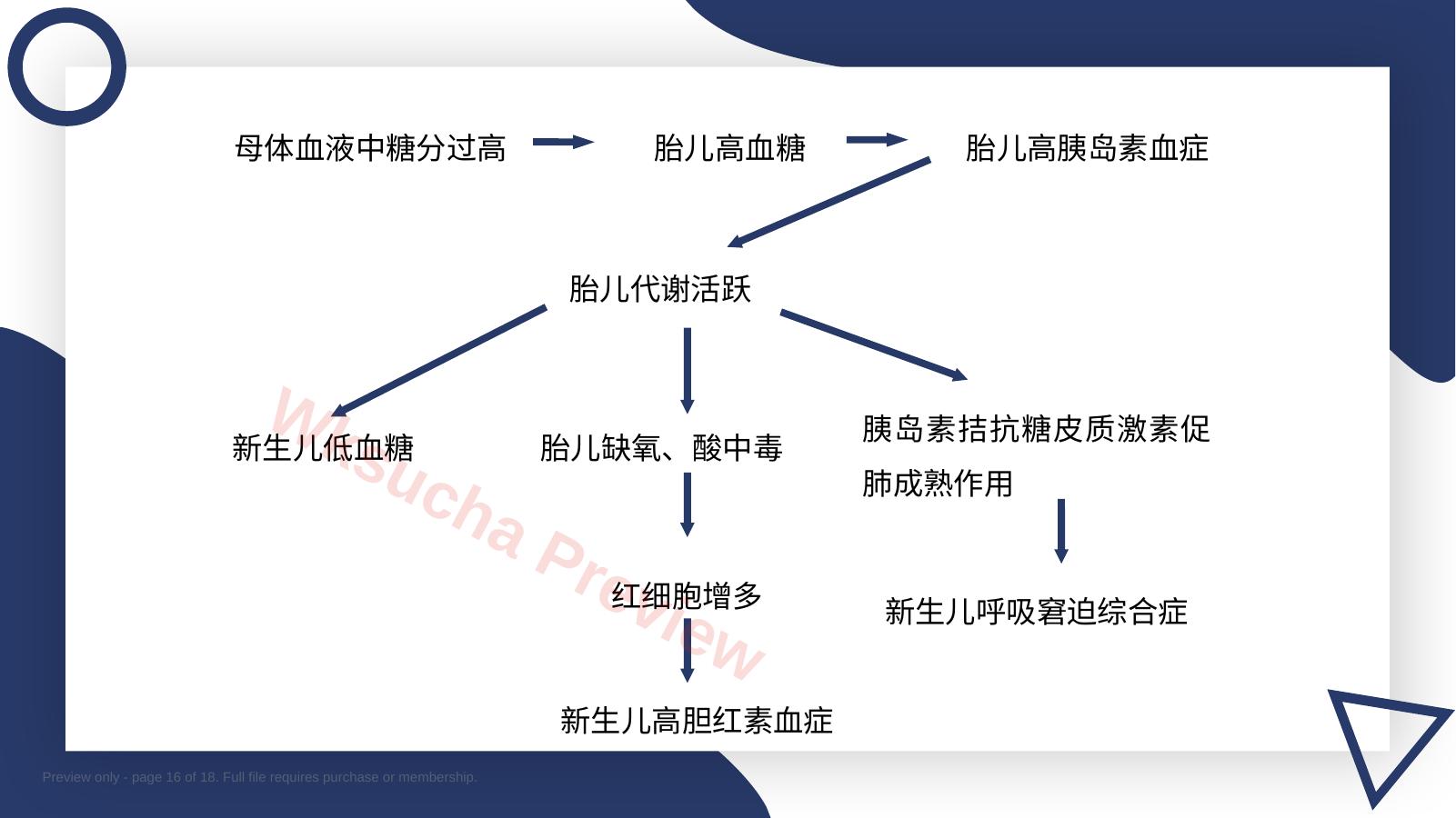 预览第 16 页