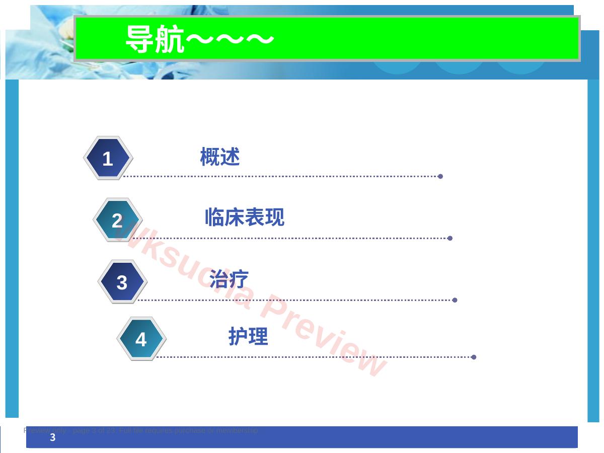 预览第 3 页