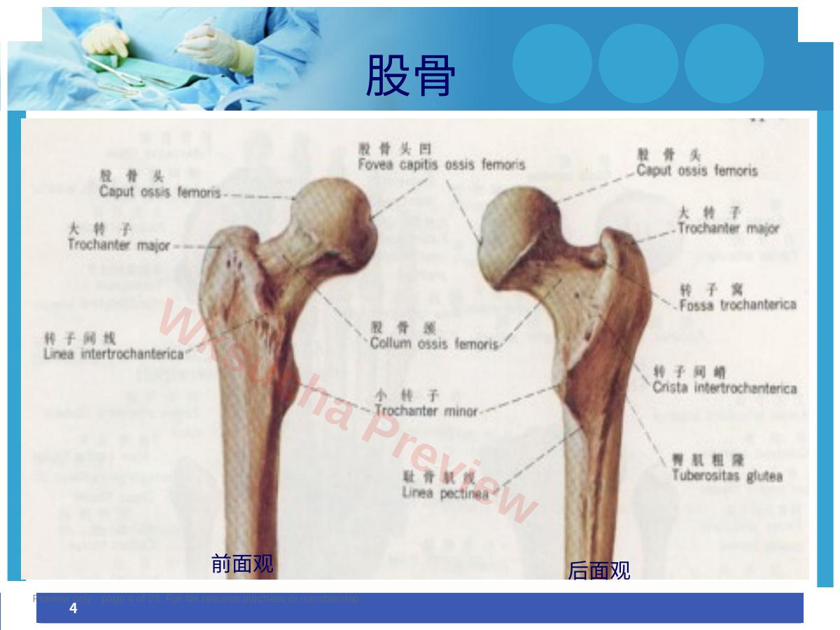 预览第 4 页
