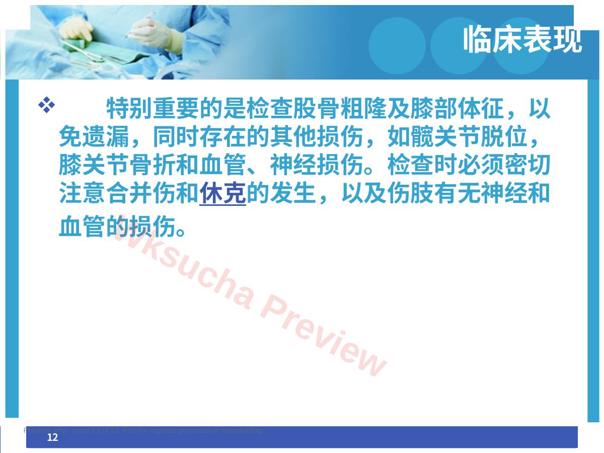 预览第 12 页