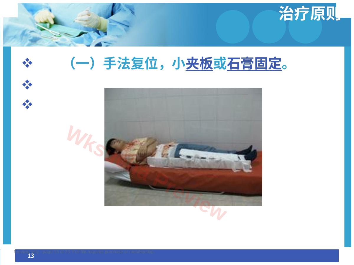 预览第 13 页