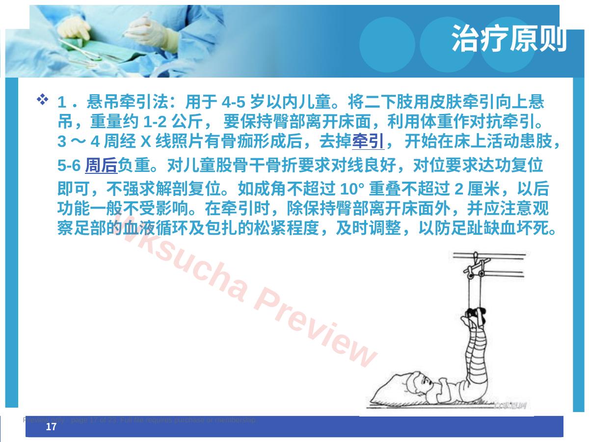 预览第 17 页