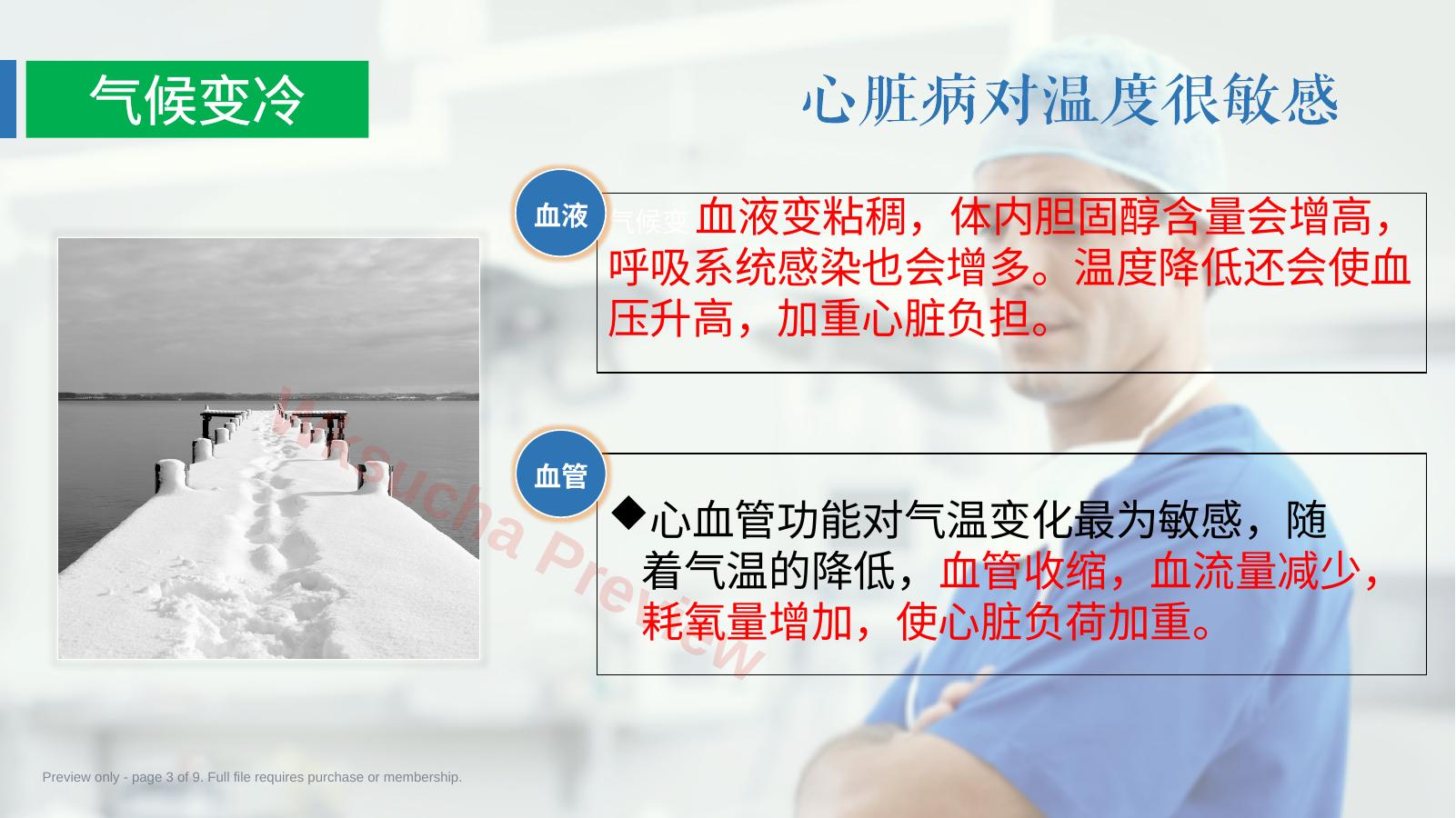 预览第 3 页