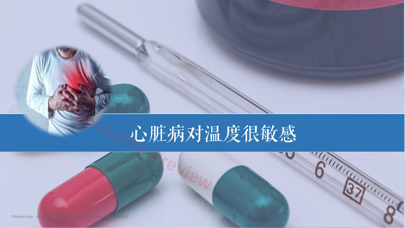 预览第 4 页