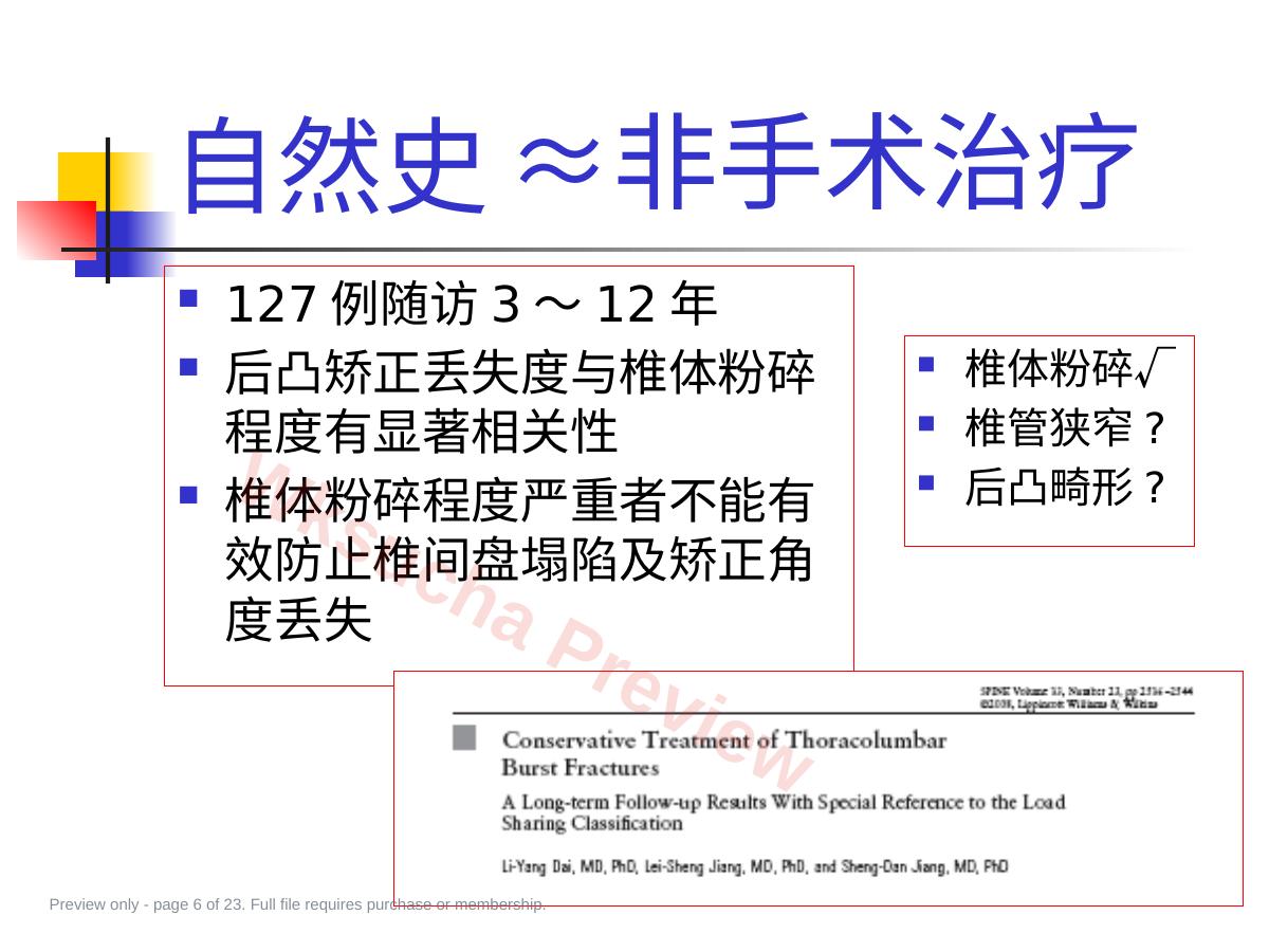 预览第 6 页