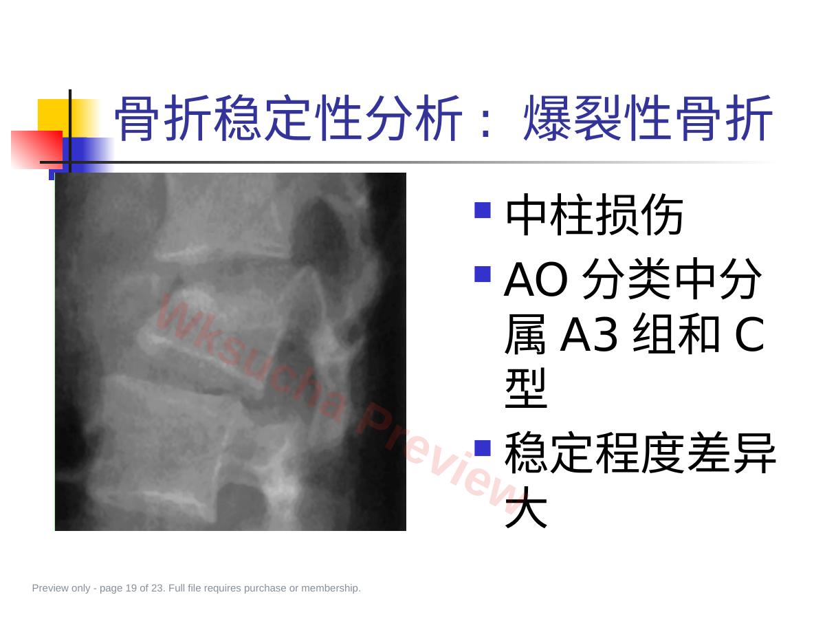 预览第 19 页