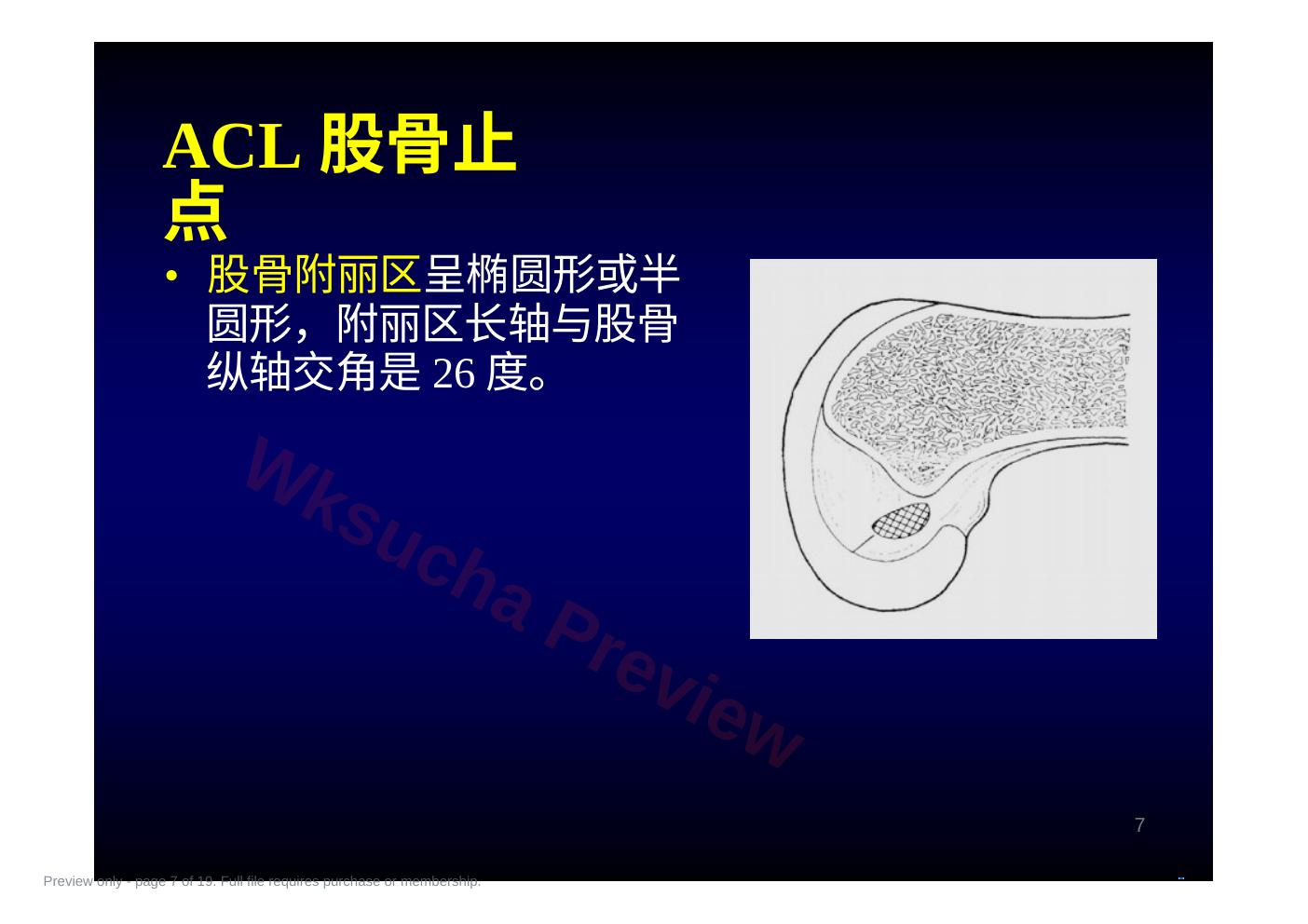 预览第 7 页