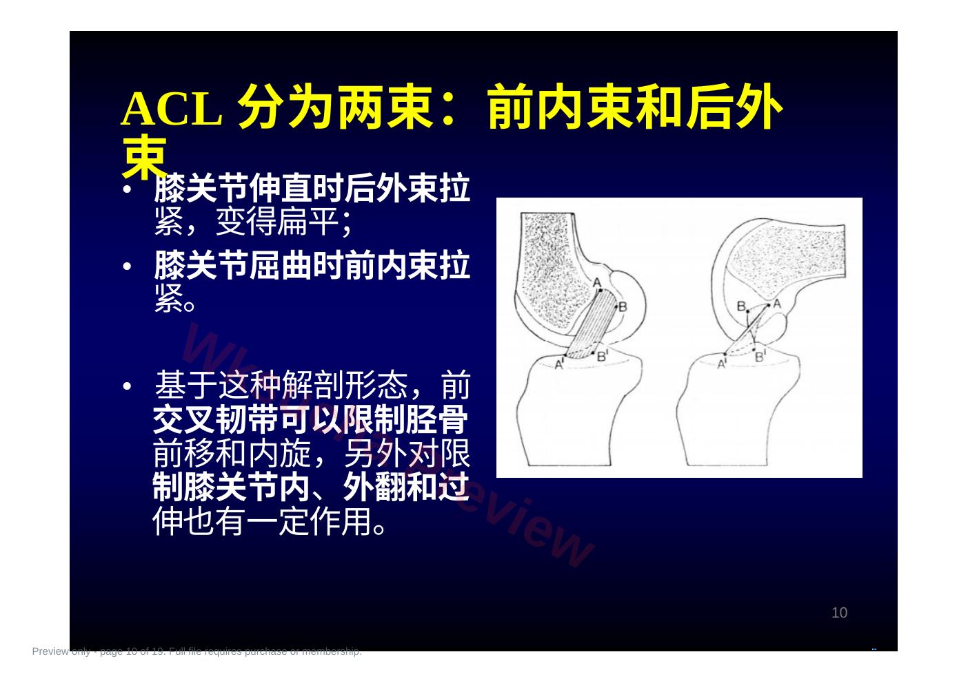 预览第 10 页