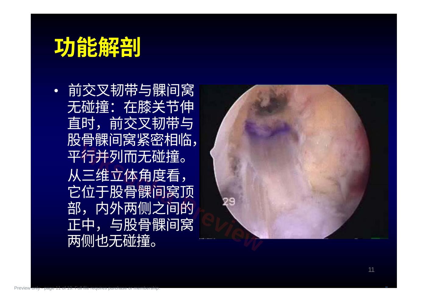 预览第 11 页