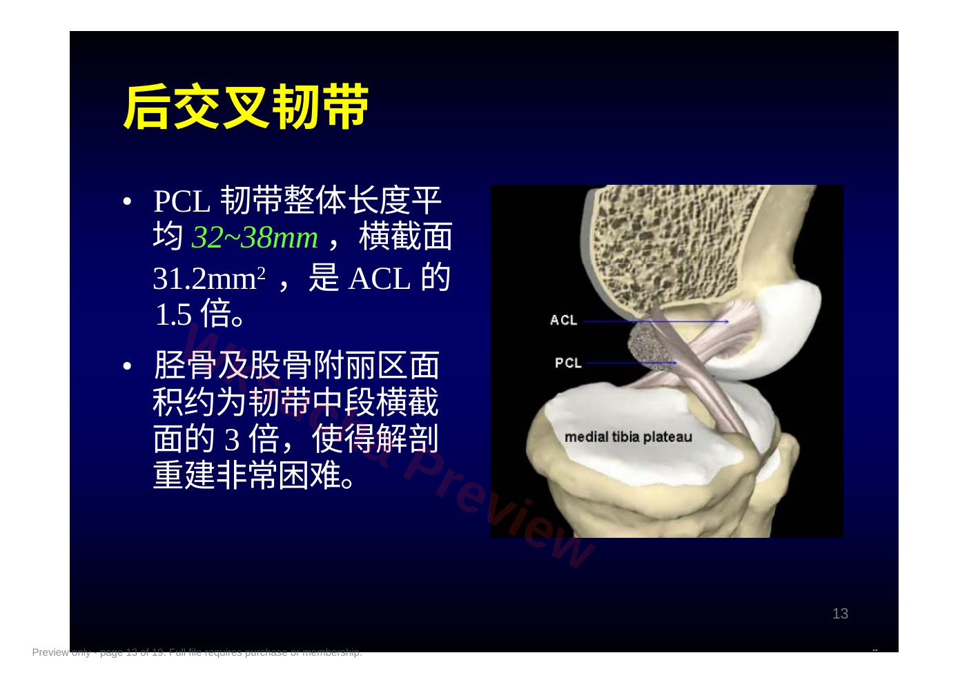 预览第 13 页