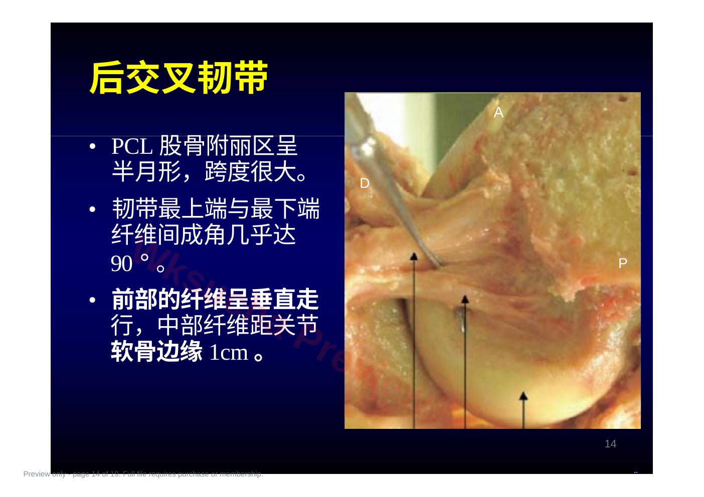 预览第 14 页