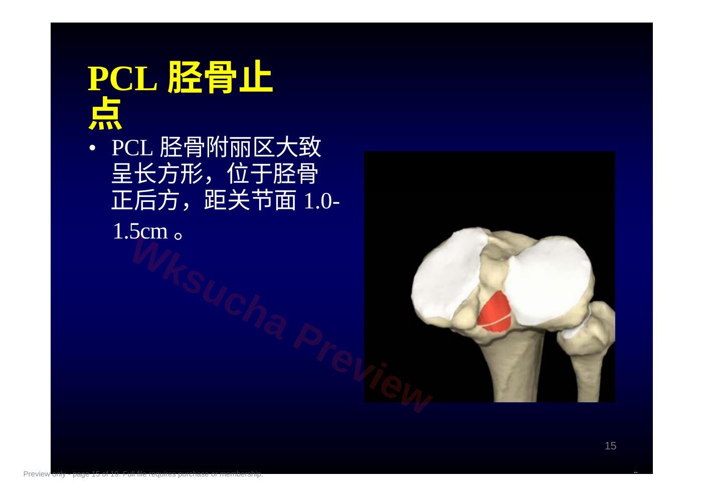 预览第 15 页