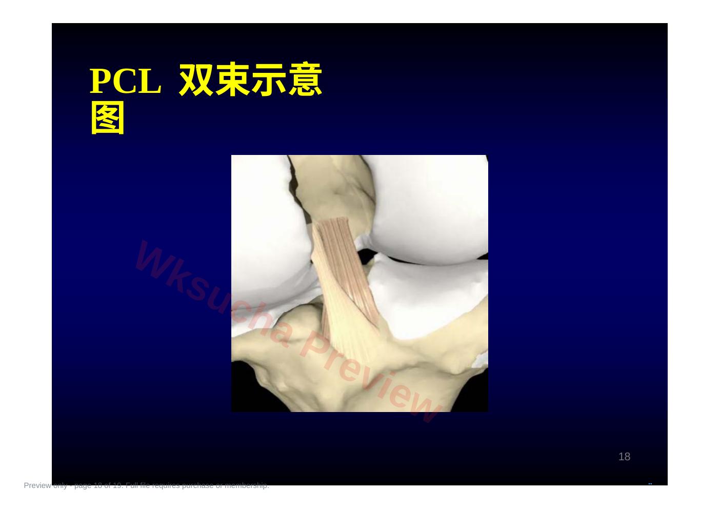 预览第 18 页