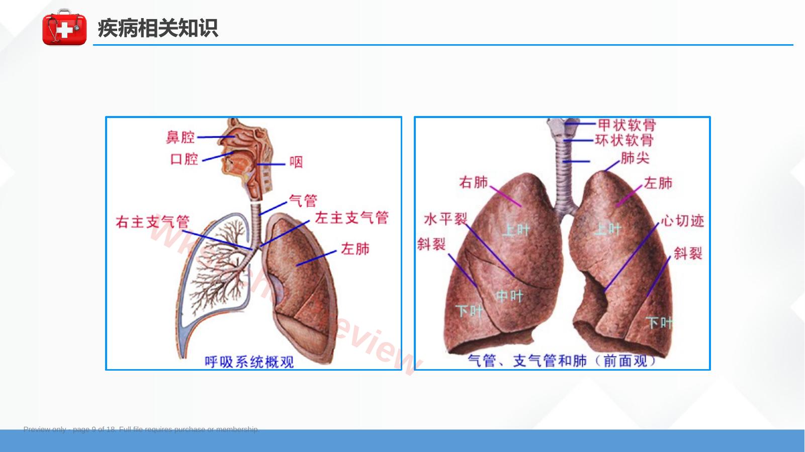 预览第 9 页