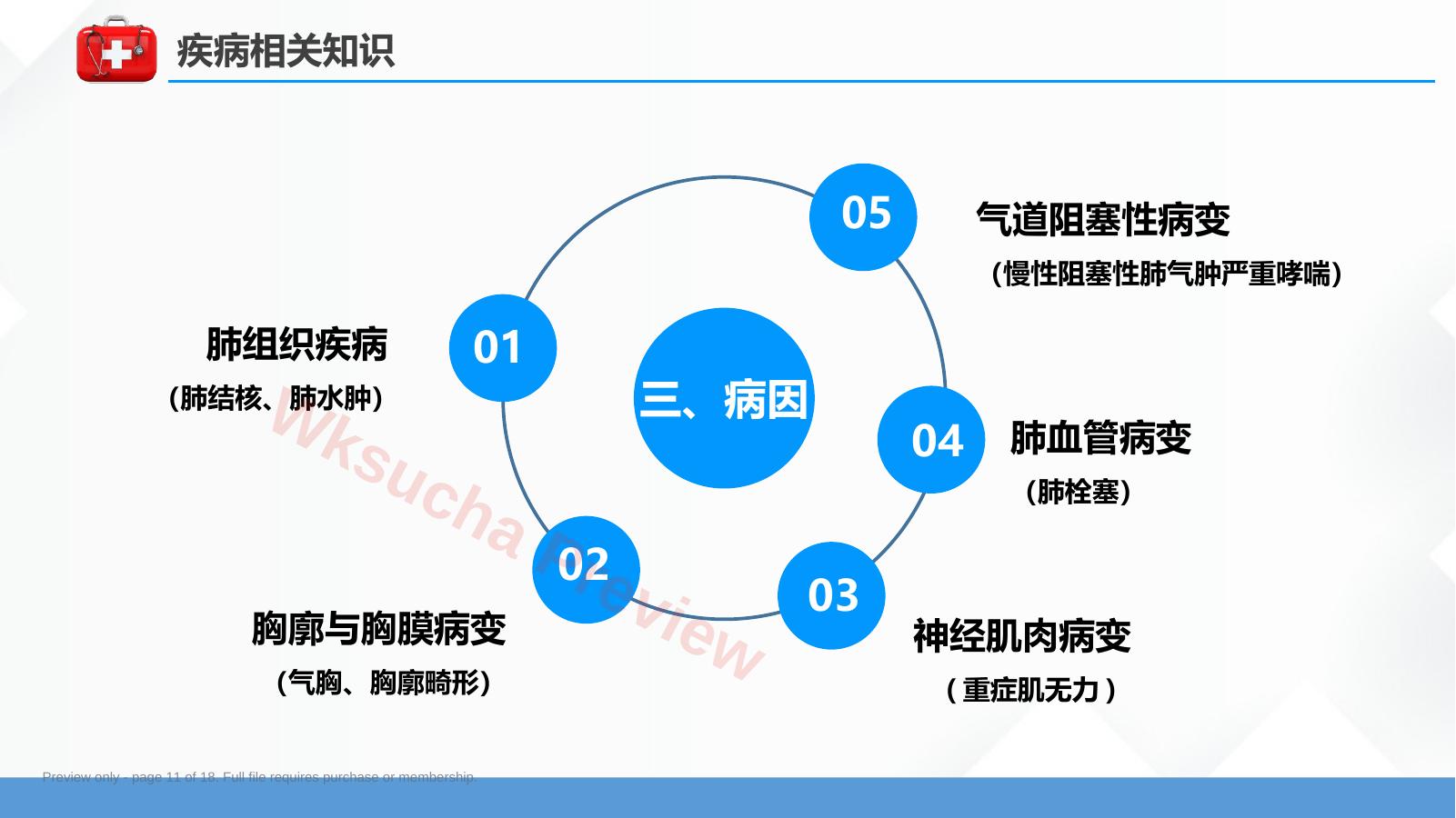 预览第 11 页