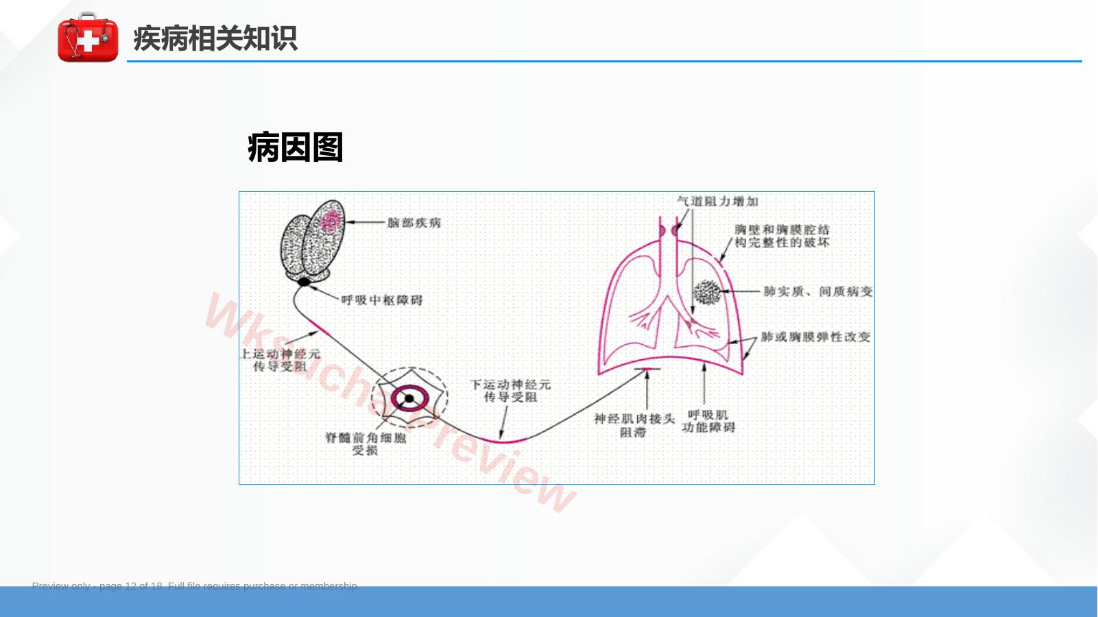 预览第 12 页