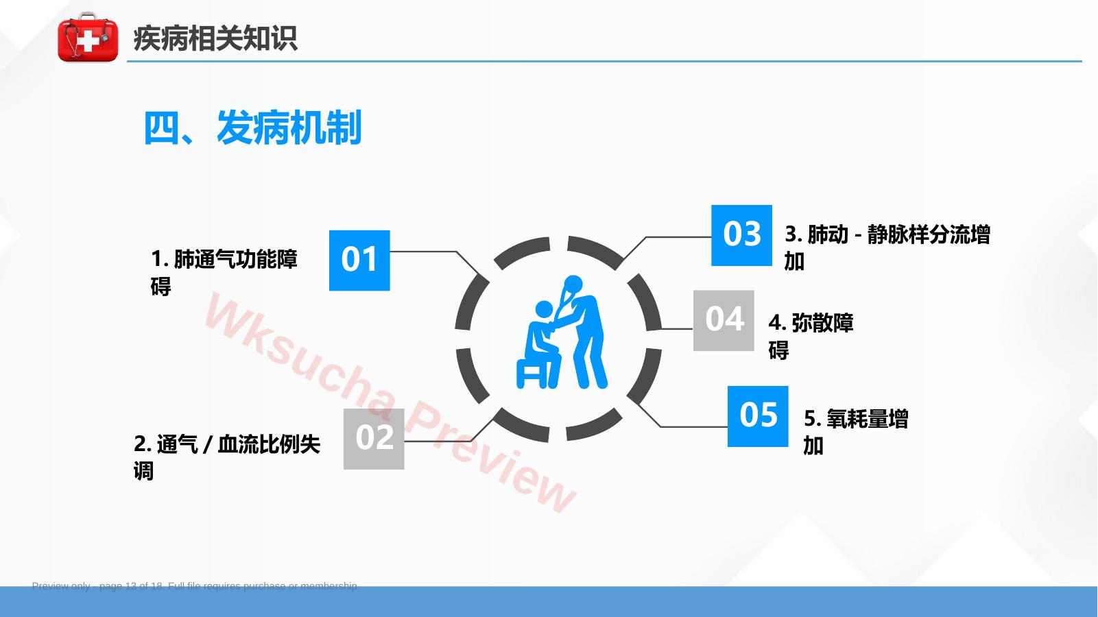 预览第 13 页