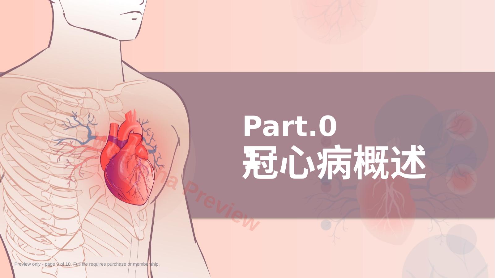 预览第 3 页