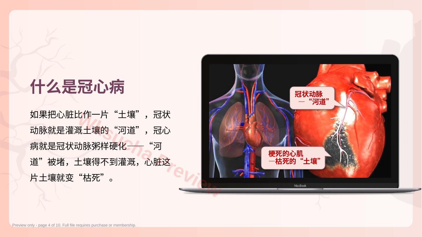 预览第 4 页