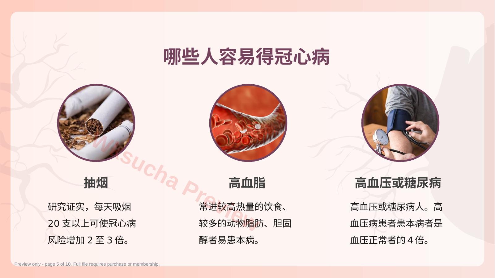 预览第 5 页