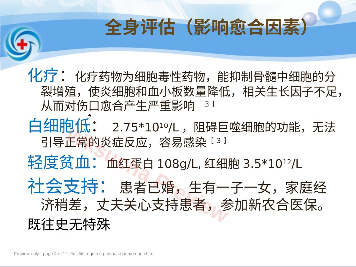 预览第 4 页