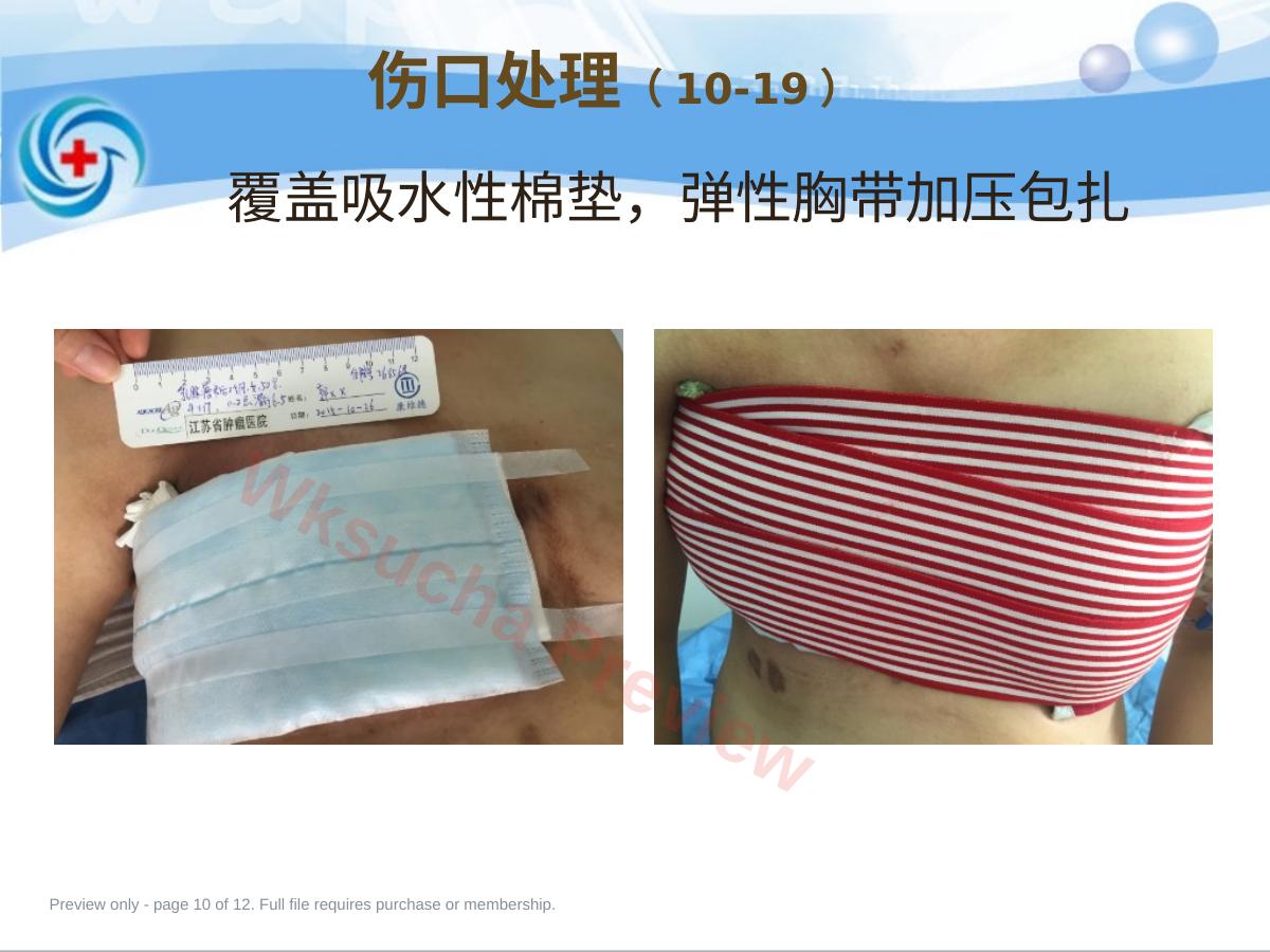 预览第 10 页