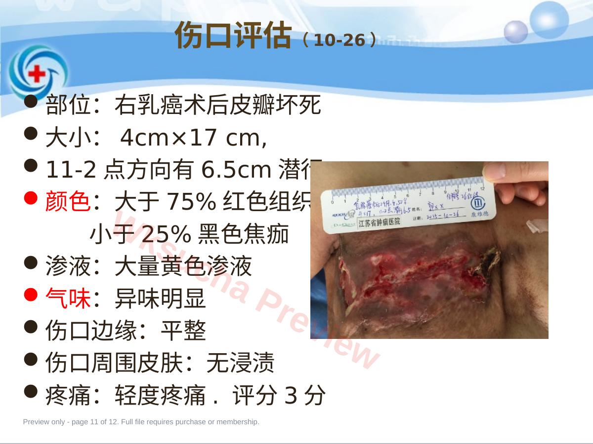 预览第 11 页