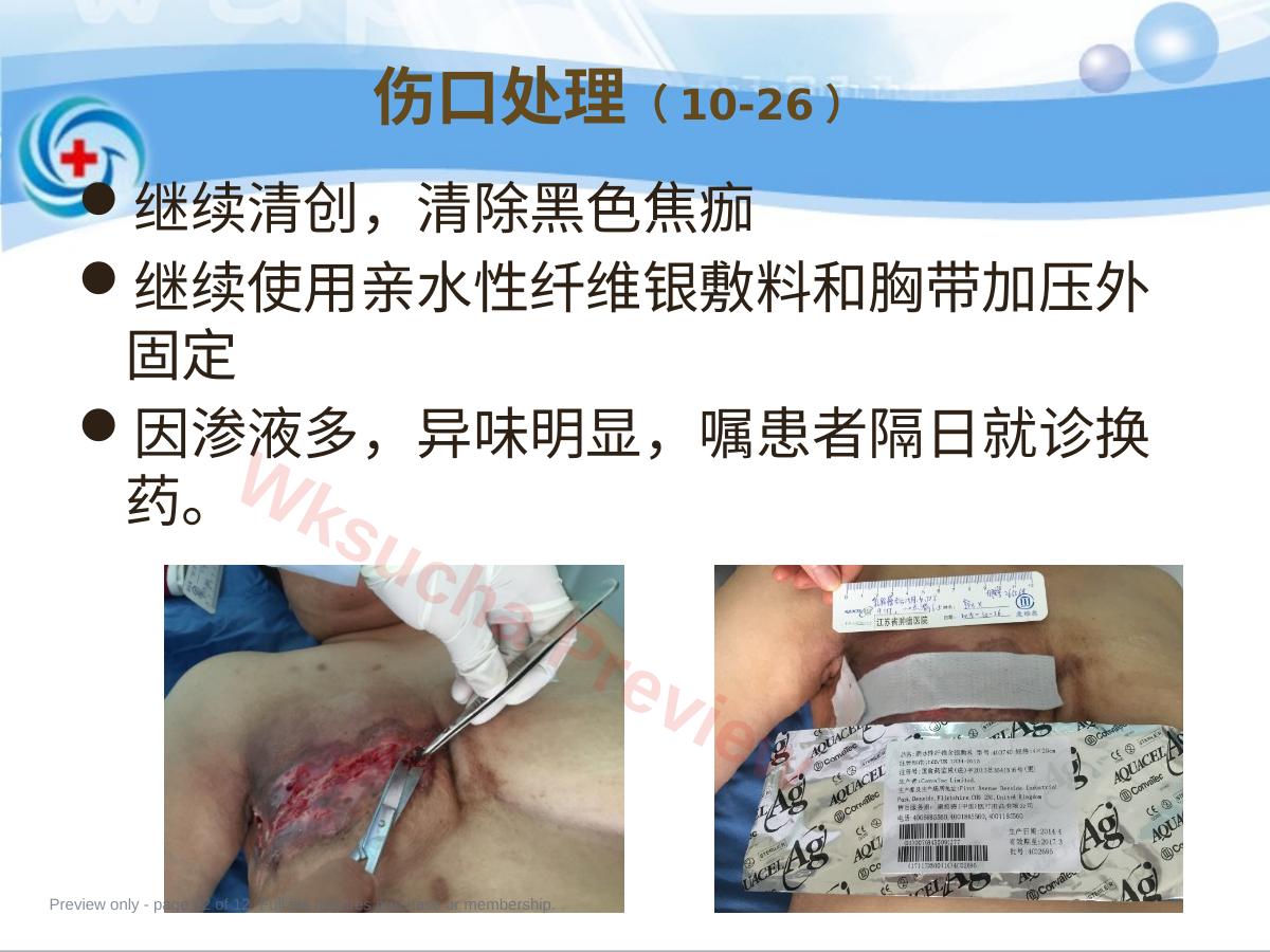 预览第 12 页
