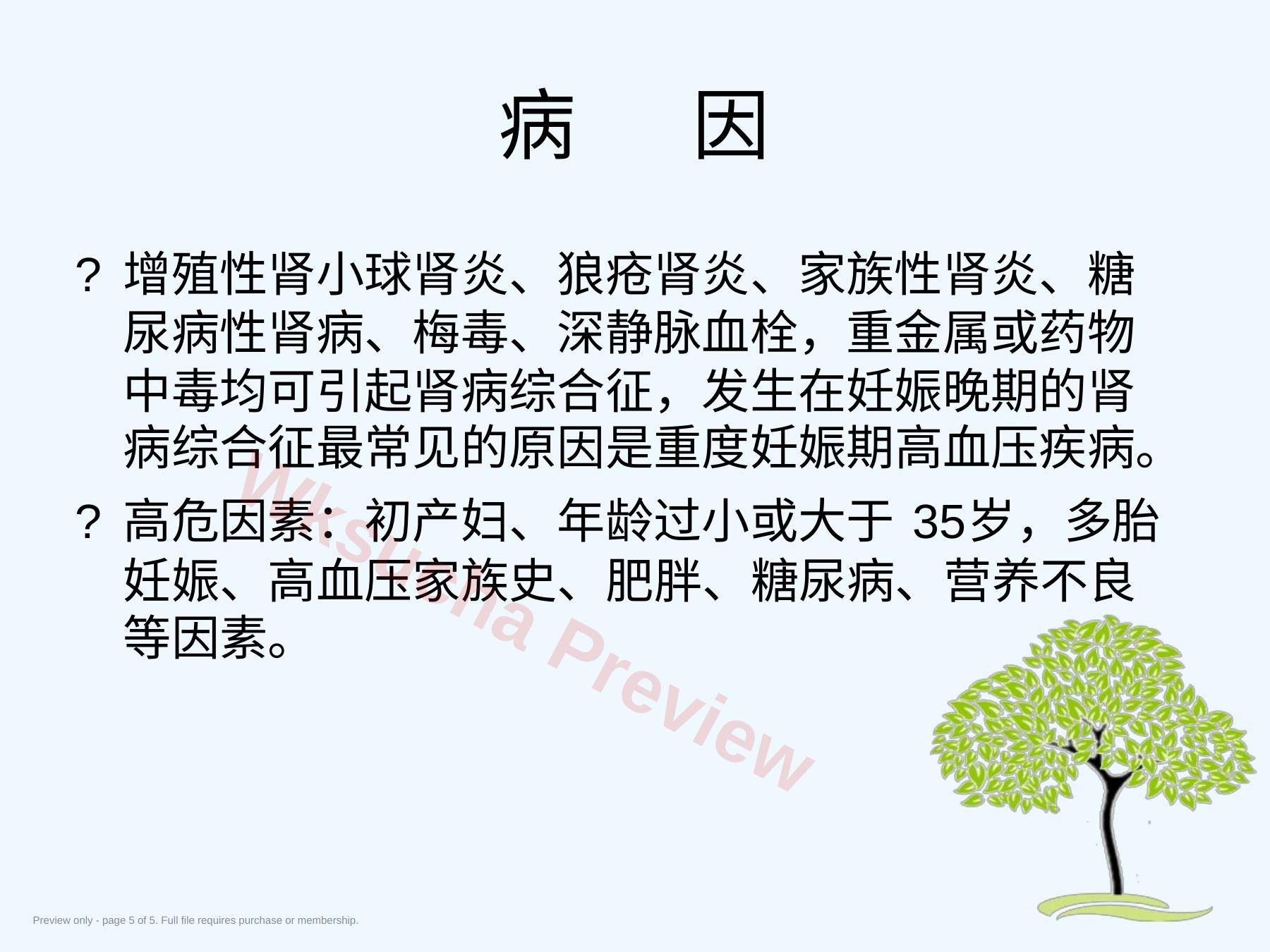 预览第 5 页