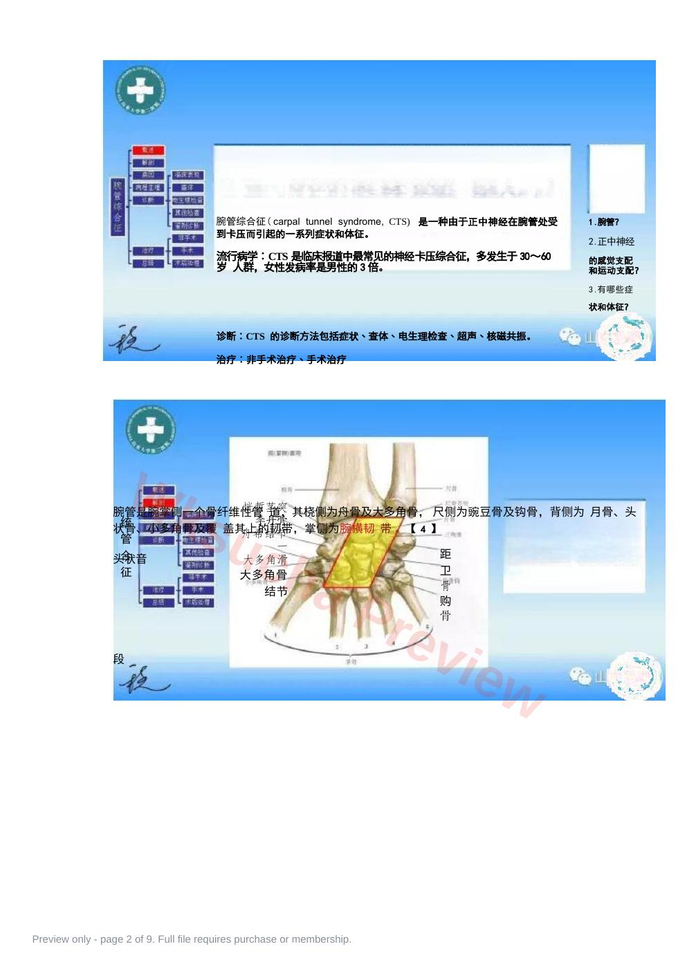预览第 2 页
