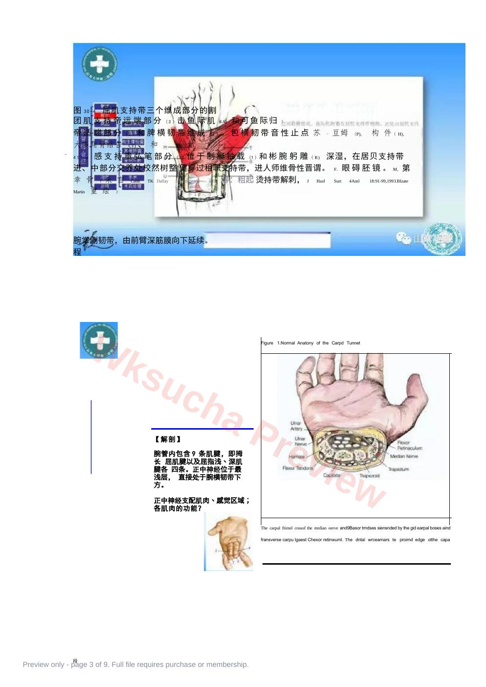 预览第 3 页