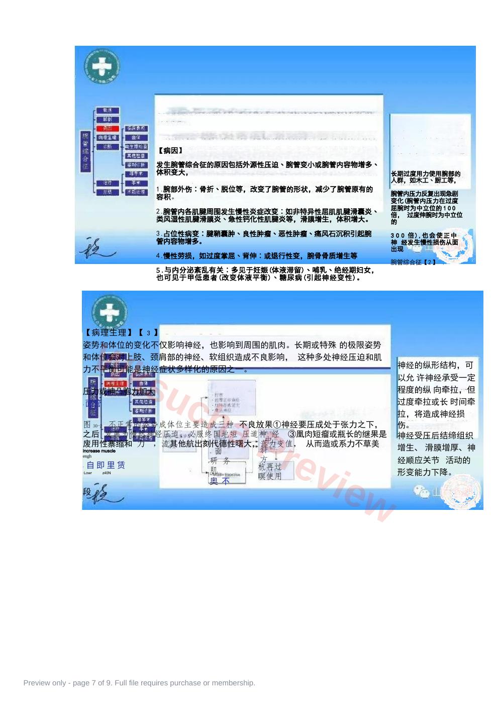 预览第 7 页